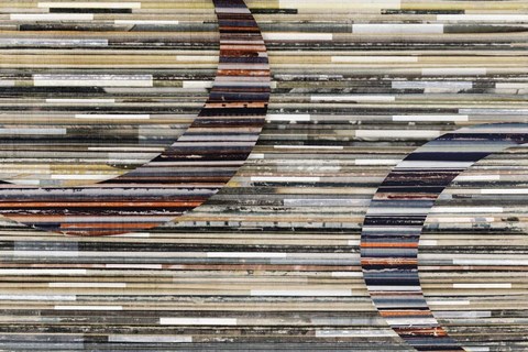 Framed Serendipity II Print