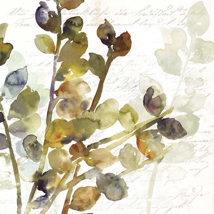 Framed Solarium I Print