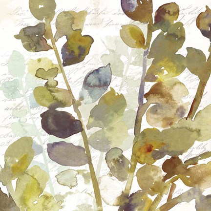 Framed Solarium II Print