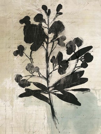 Framed Inky Floral III Print