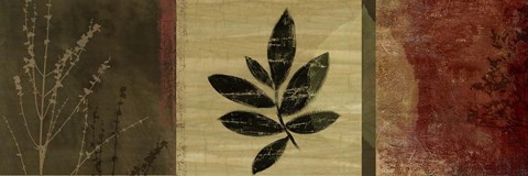 Framed Leaf Impressions II Print