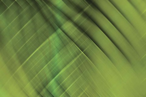 Framed Tie Dye IV Print