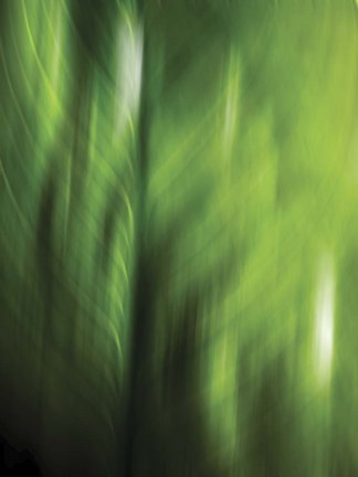 Framed Organic V Print