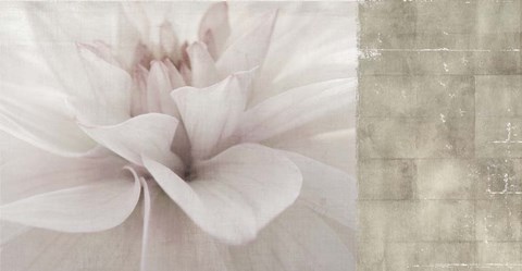 Framed Softness Print