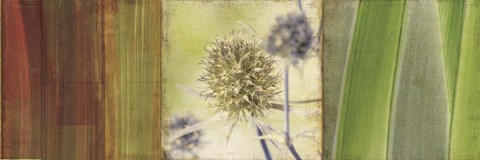 Framed Organics Print