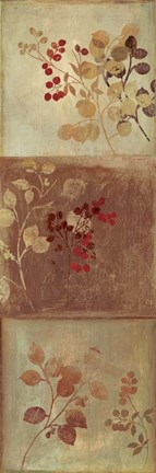 Framed Rustique I Print