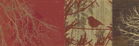 Framed Out on a Limb I Print