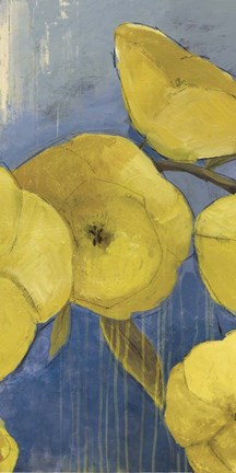 Framed Sunshine I Print