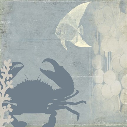 Framed Ocean Life II Print