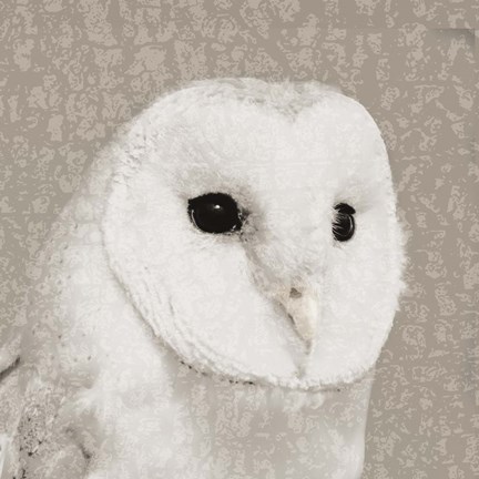 Framed Feathered II Print