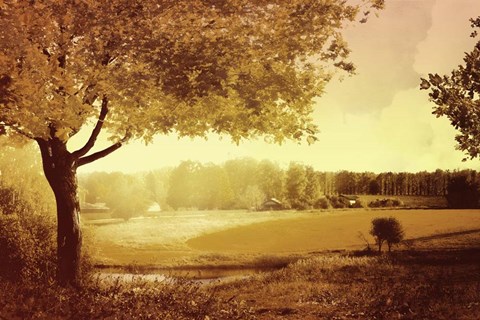 Framed Golden Country Print