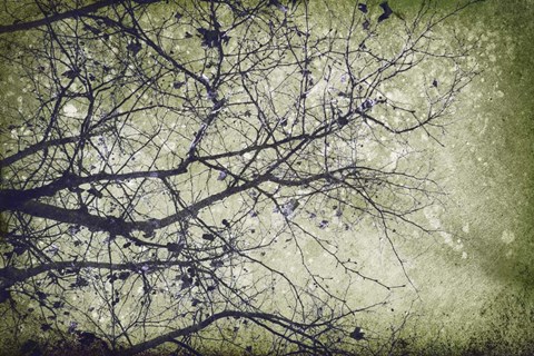 Framed Collage E Print