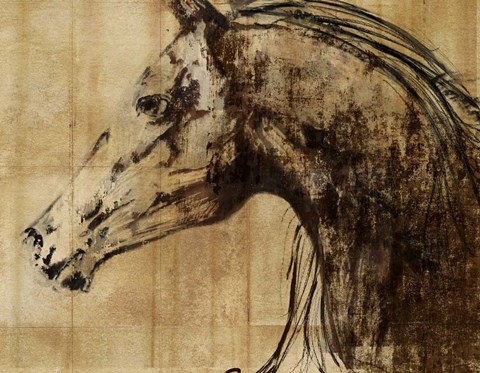 Framed Stallion I - Print on Demand Print