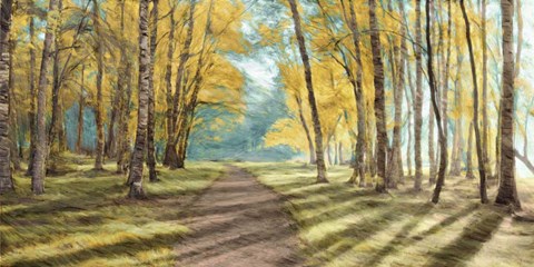 Framed Pathfinder Print