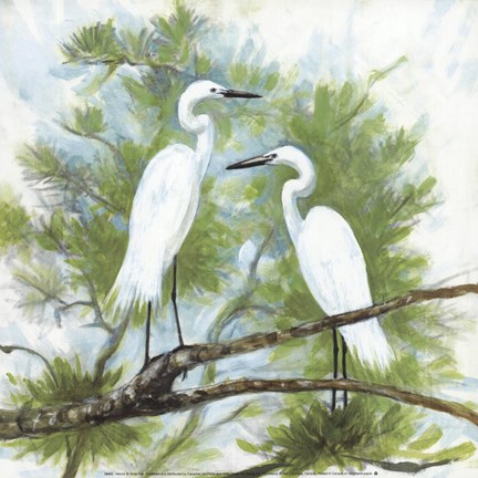 Framed Herons Print