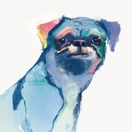 Framed Snug Watercolor Print