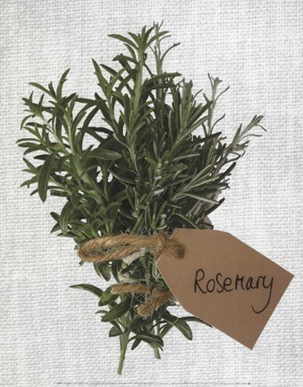 Framed Rosemary Print