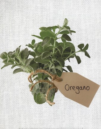 Framed Oregano Print