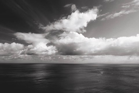 Framed Looking Out BW Print