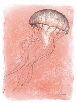 Framed Coastal Sea Life IV Print