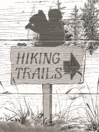 Framed Fall Cabin VII Print