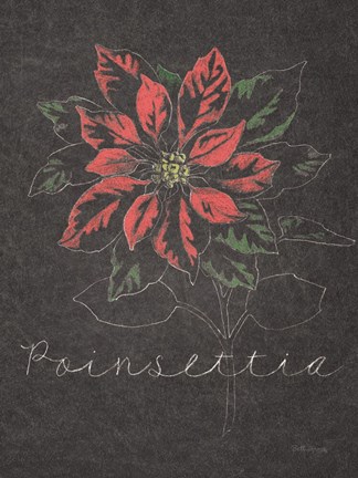 Framed Chalkboard Christmas Greenery IV Print