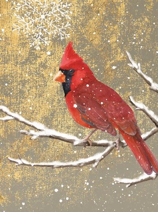 Framed Winter Birds Cardinal Color Print