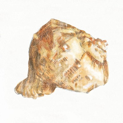 Framed Golden Treasures III on White Print