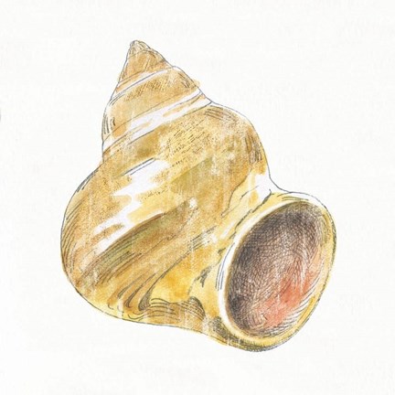 Framed Golden Treasures II on White Print