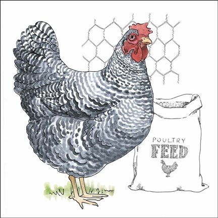 Framed Fun at the Coop III Print