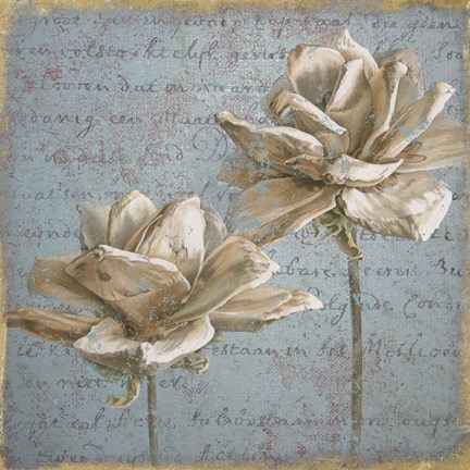 Framed Seed Pod II no Stamp Print