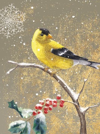 Framed Winter Birds Goldfinch Color Print