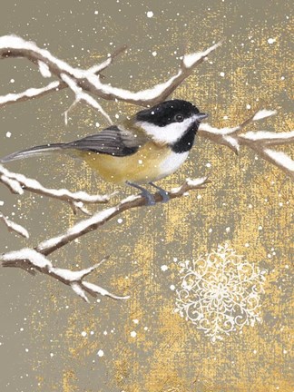 Framed Winter Birds Chickadee Color Print