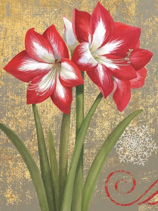 Framed Winter Birds Amaryllis I Print