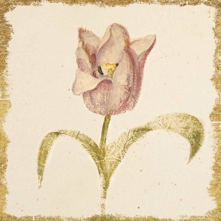 Framed Vintage Blue Parrot Tulip Crop Print