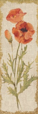 Framed Poppy Panel on White Vintage Print