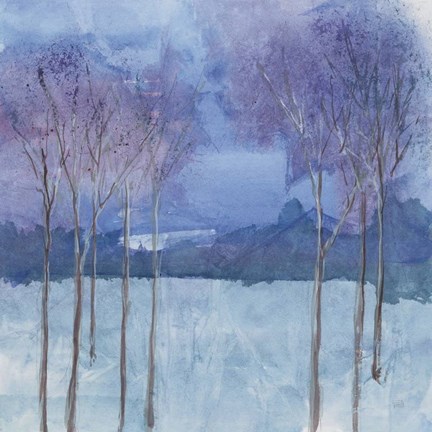 Framed Evening Serenade II Print