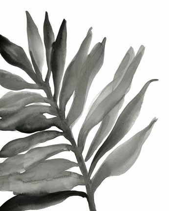 Framed Tropical Palm III BW Print