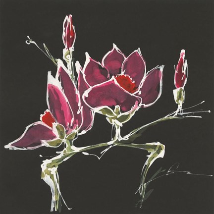 Framed Magnolia on Black III Print