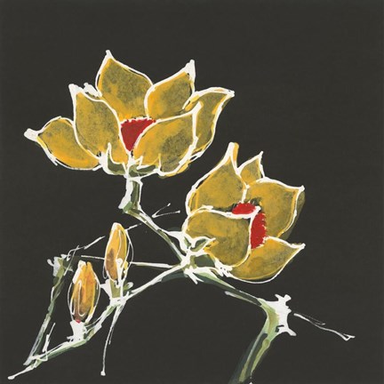 Framed Magnolia on Black II Print