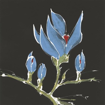 Framed Magnolia on Black I Print