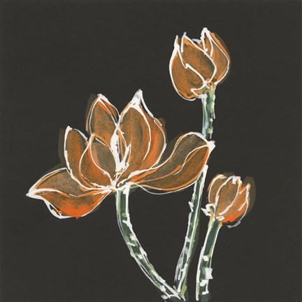 Framed Lotus on Black IV Print