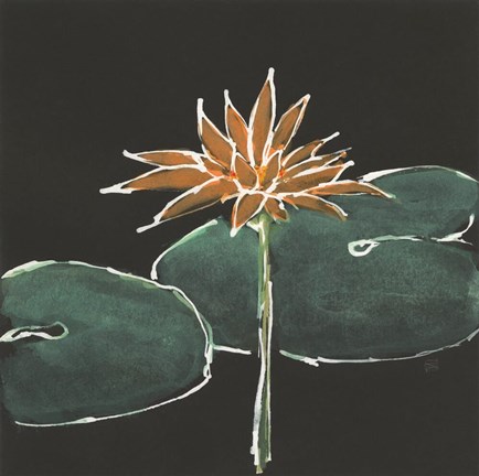 Framed Lily on Black VI Print