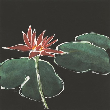 Framed Lily on Black III Print