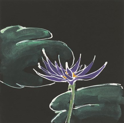 Framed Lily on Black II Print