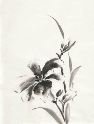 Framed Sumi Daylily IV Print