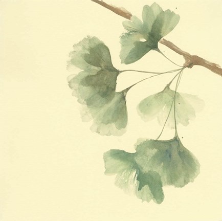 Framed Gingko Leaves III Print