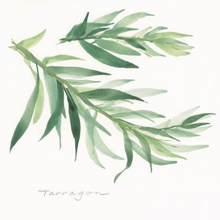 Framed Tarragon II Print