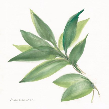 Framed Laurel Bay Print