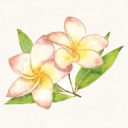 Framed Tropical Fun Flowers I Print